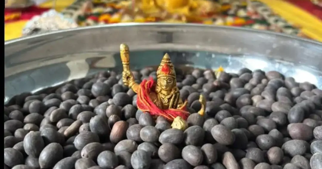 WhatsApp Image 2025-09-25 at 12.04.58